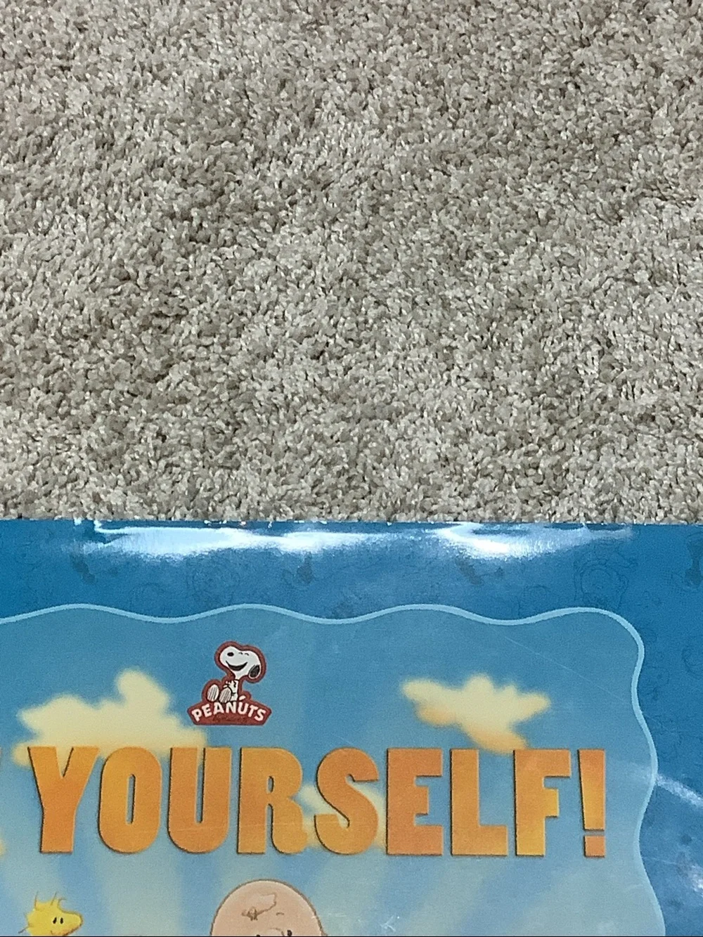 Peanuts: Be Yourself book/ Hardcover